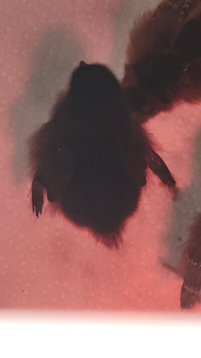 20220822_141100.jpg