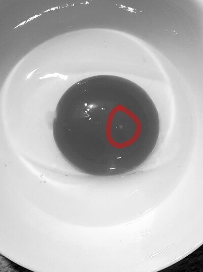 20220827_184811.jpg