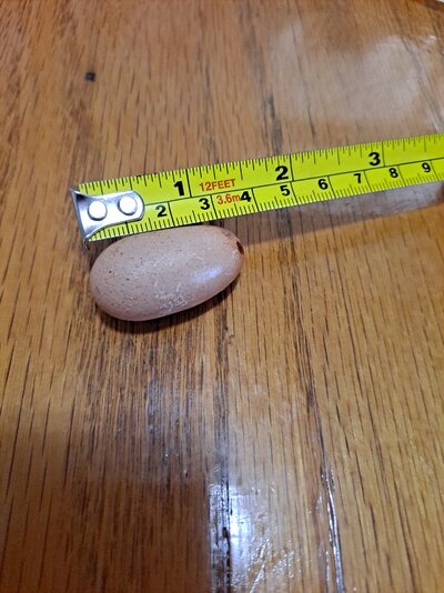 20220828_102239.jpg