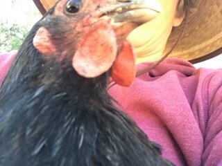 IMG_1341 Small.jpeg