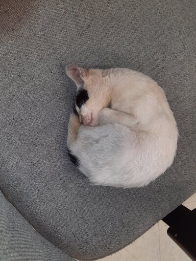 20220806_065704.jpg