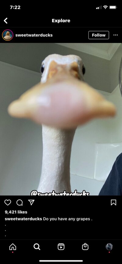BDF0FF59-F20A-4D03-8F98-5AD3AD4BF097.jpeg