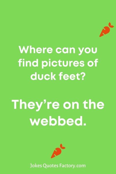Where-can-you-find-pictures-of-duck-feet-Theyre-on-the-webbed..jpg