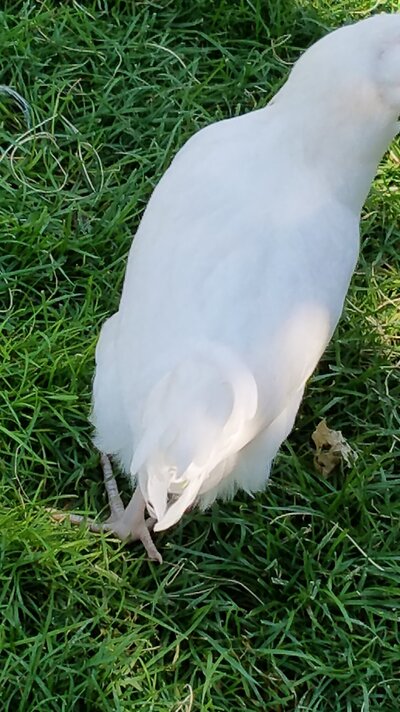 20220902_111005.jpg