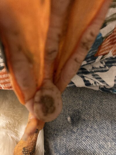 1C9022E3-F367-47DF-9DF3-0024F642DBCA.jpeg