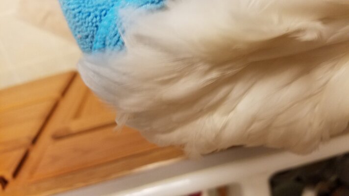 20220905_203443.jpg