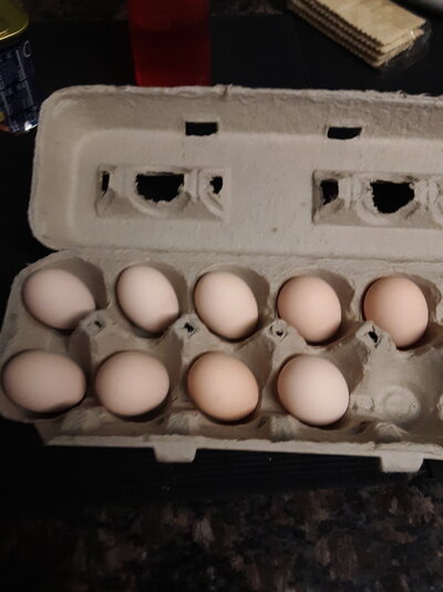 0720 Eggs Jun - date.jpg