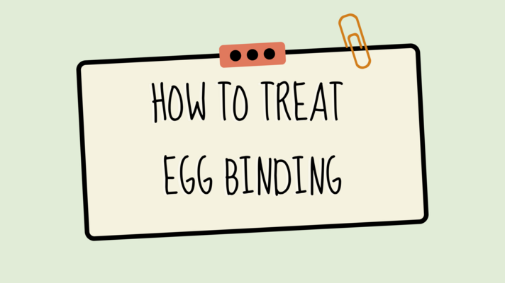 Egg Binding, What It Is And How To Treat It.