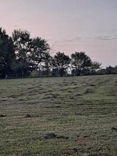 20220913_071453.jpg