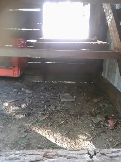 my phone photos 229.jpg