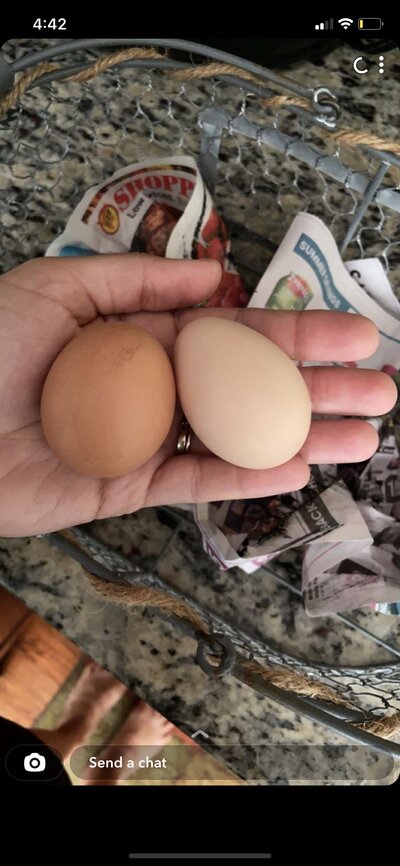 1802554A-5FB1-4704-9B55-F3AE031C14C6.jpeg