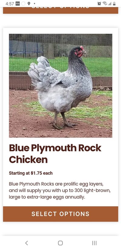 Screenshot_20220717-165726_DuckDuckGo.jpg