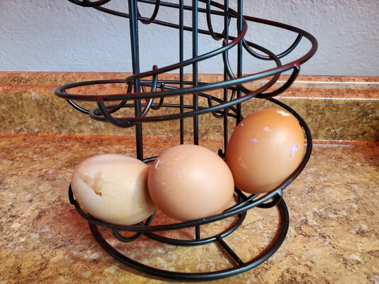 3 eggs lr.jpg