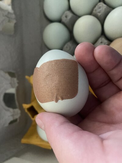 Eggs 2.jpeg