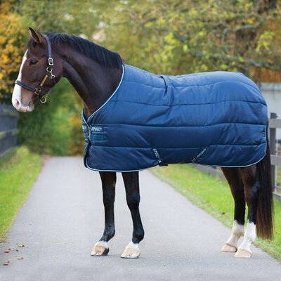 blanket.jpg blanket.jpg