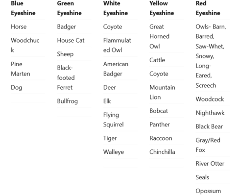 Screenshot 2022-09-25 at 17-48-56 Identifying Animal Eyes at Night With Eye Shine Chart.png