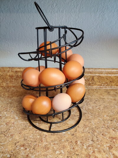 eggs lr.jpg