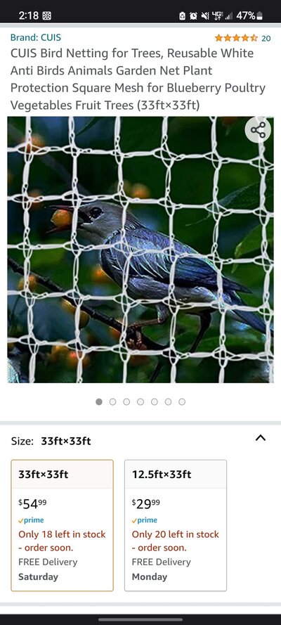 Screenshot_20221005-141836_Chrome.jpg