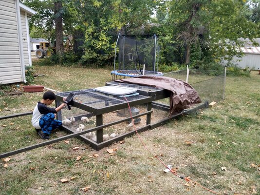 IMG_20221009_110633841_HDR.jpg