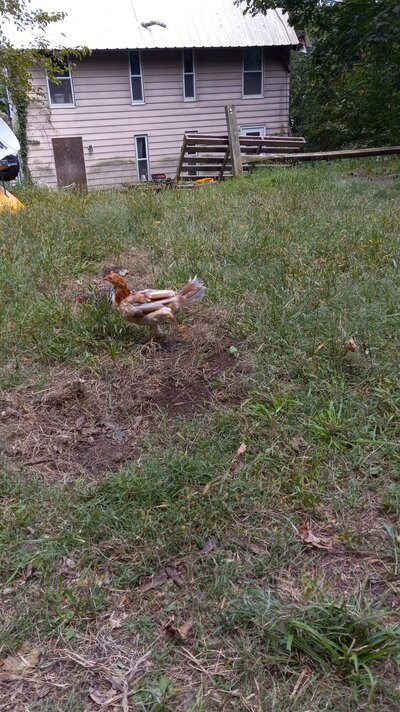 20220928_160813.jpg