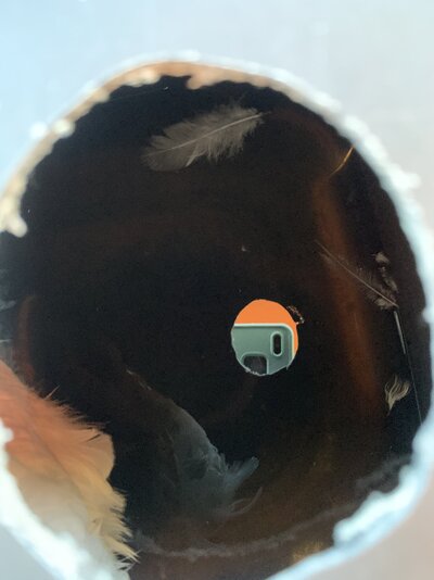 7BA70B3D-832C-40B8-82F9-C28817F9BEB2.jpeg