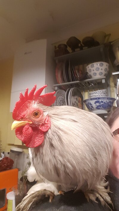 20220122_170954.jpg