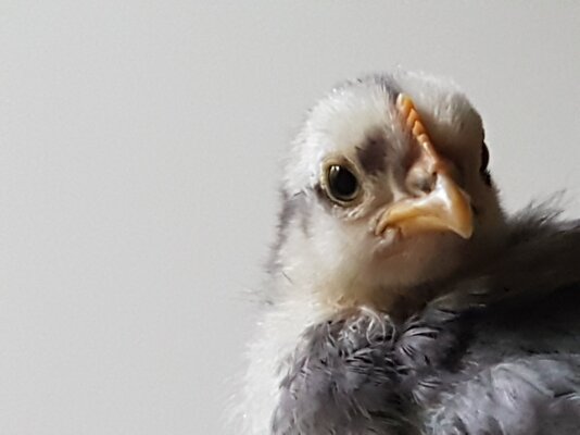 20220927_082034.jpg