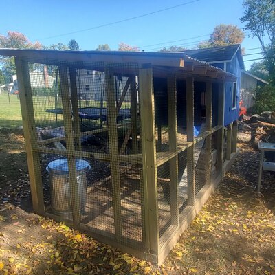 BacK Side of Coop - Run Side.jpg