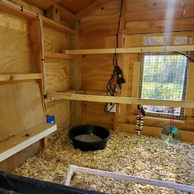 Coop - Inside Main Door View Left.jpg