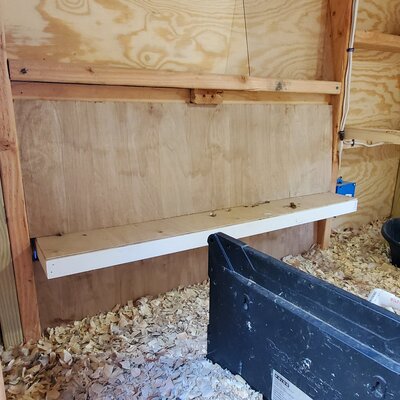 Coop - Inside Main Door View Nesting Boxes Closed.jpg