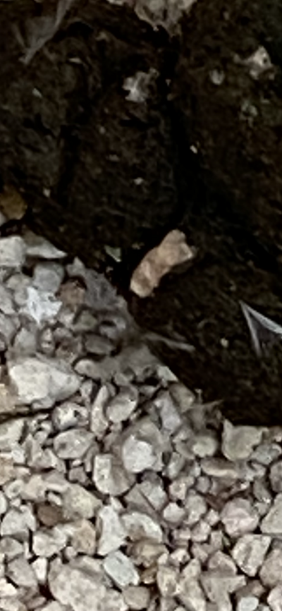3D380FD8-3F67-4663-ABF5-EF89865B53CF.png