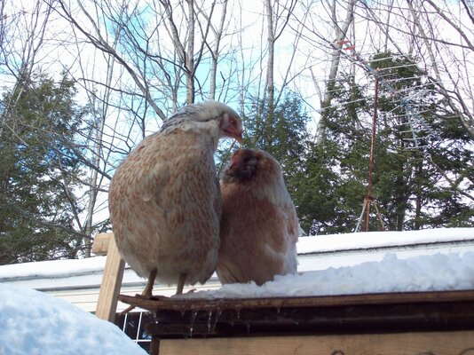 105_0014.JPG