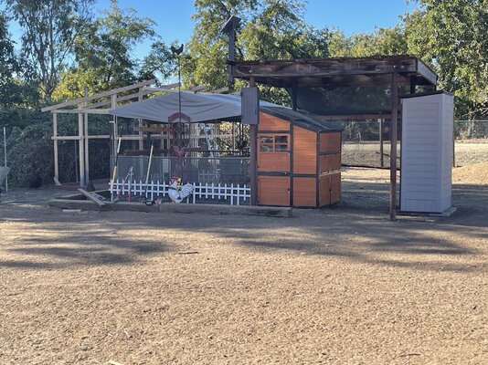 My Evolving Chicken Coop