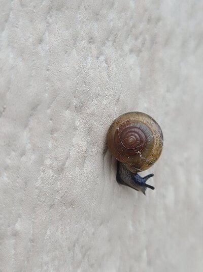 20221026_081024.jpg