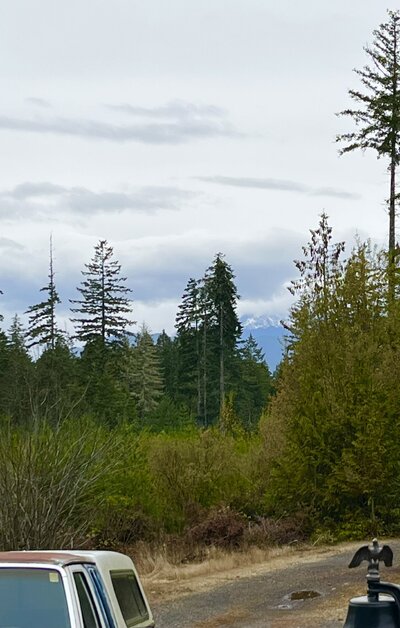 image_50373121.JPG