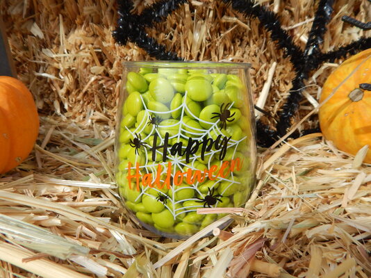 DSCN9200.JPG