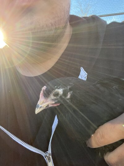 579D8ABC-0EF9-45AF-8490-A96E8D467EE0.jpeg