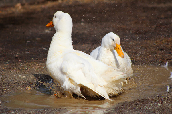 spring-079.jpg