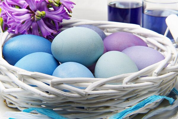egg colors.jpg