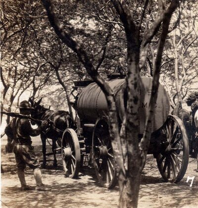 mule-drawn wagon.jpg