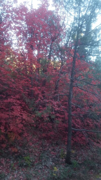 20221021_163418.jpg