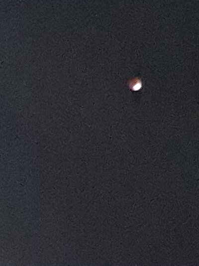 20221108_041036.jpg