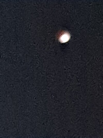 20221108_040902.jpg