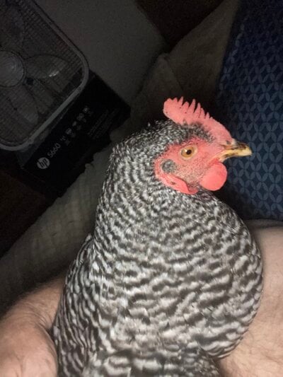 50704F0C-CA58-4681-82C3-9C0D4DF8446D.jpeg