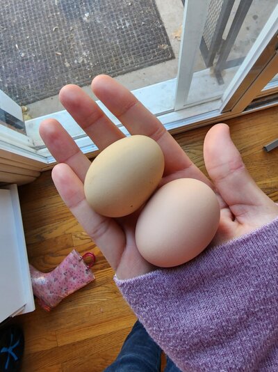20221110_135343.jpg