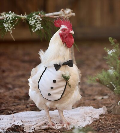 7518112-6493799-The_brilliant_snaps_show_the_groom_in_a_tuxedo_and_the_bride_wit-a-32_15450465...jpg