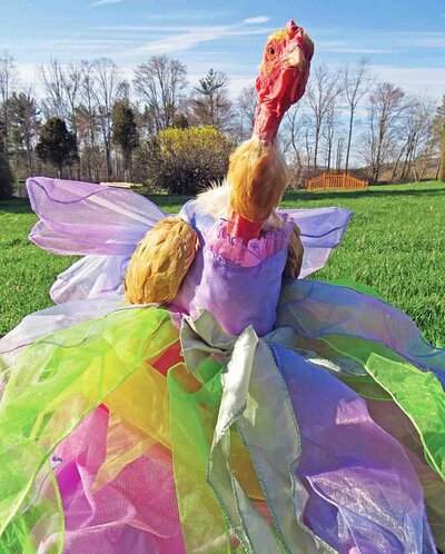 ChickenFairyDress-824x1024.jpg