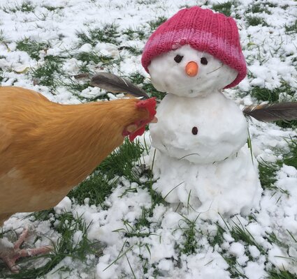 cropped_2018_winter_4.jpg