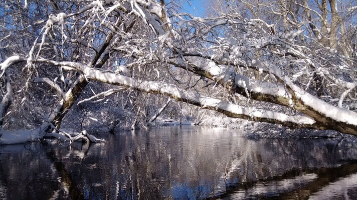 2021_winter_2.jpg