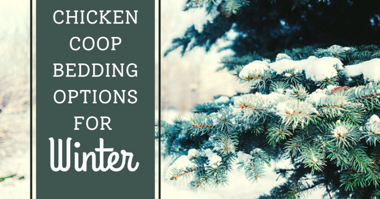 Chicken Coop Bedding Options For Winter